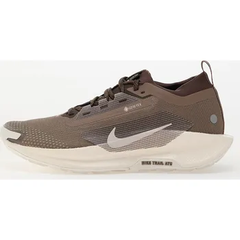 Pánské tenisky Tenisky Nike Pegasus Trail 5 Gore-Tex Mink Brown/ Baroque Brown-Moon Particle EUR 42.5