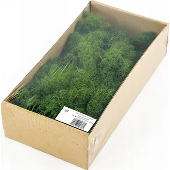 Obraz Mech Chrobotek 300g PREMIUM tmavě zelený