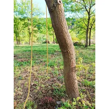 smyčka Fall Protection FALL PRO.. kotevní smyce pro výstupové/pracovní lano na bázi kmene 9m