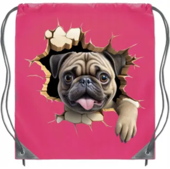 Školní batoh VAK ŠKOLNÍ školní batoh na tělocvik, sport, boty, trénink, s dírkou, PES MOPS s mopsem WB_112