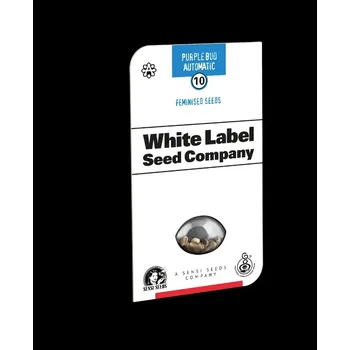 Semeno White Label Cannabis Seeds Auto Purple Bud Počet ks Feminizované: 3