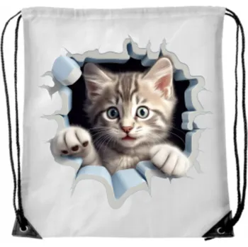 Školní batoh VAK ŠKOLNÍ školní batoh na tělocvik, sport, boty, trénink, s dírkou, KOT kočka s kočkou WB_120