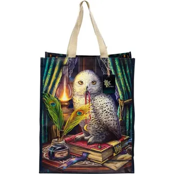 Nákupní taška Nákupní taška - Moudrá sova( Lisa Parker)