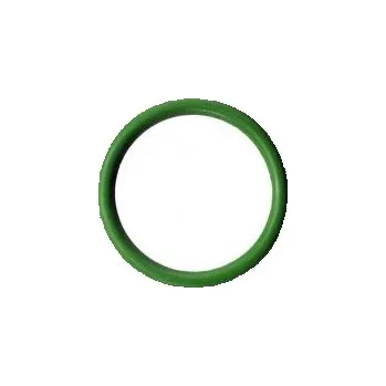 Těsnění motoru O-kroužek DICHTOMATIK FPM 80 - 9.25 x 1.78 GREEN