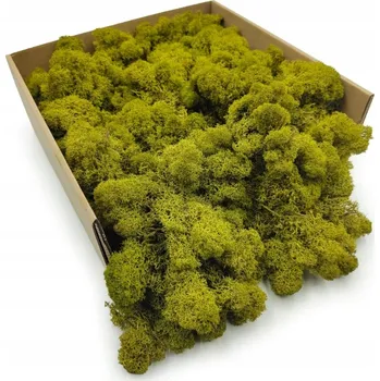 Obraz Mech Chrobotek Sobí - Finský - Čištěný - Limetkový 250g NETTO