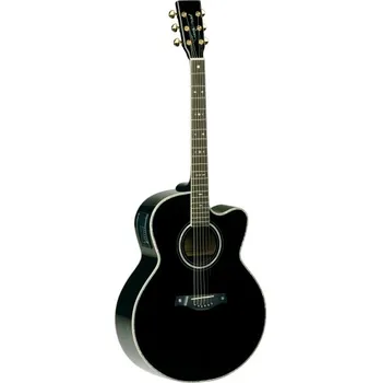 Kytara TW 59 BK DLX B - elektroakustická kytara