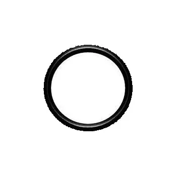 Poolservis Těsnění do ventilu Pimtas 50mm - modro-bílý