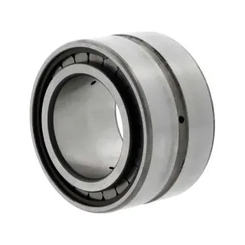 INA SL185007-A Válečkové ložisko