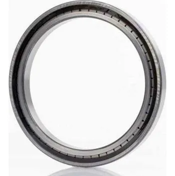 INA SL183005-A-XL Válečkové ložisko