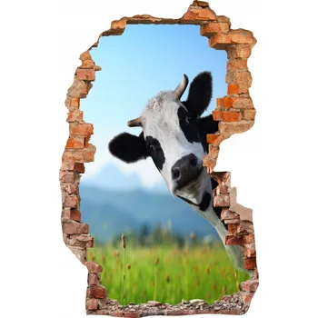 Fototapeta Samolepky 80x125 cm na zeď fototapeta 3D Díra 588