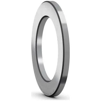 SKF WS 81124 Axiální hřídelový kroužek