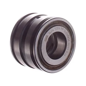 INA SL045016-PP Dvouřadé válečkové ložisko