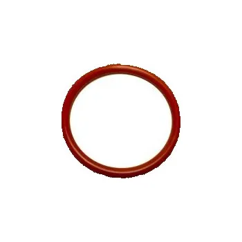 Těsnění motoru O-kroužek DICHTOMATIK MVQ 70 - 24.99 x 3.53