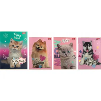 Sešit Sešit linkovaný A5 St. Majewski 16 listů