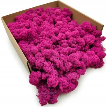 Obraz Mech Chrobotek Sobí - Finský - Čištěný - Fuchsia 50g NETTO