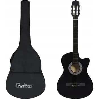 Kytara Akustická kytara Echo Pro praváky