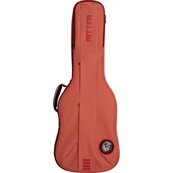 Obal pro strunný nástroj Ritter RGB4-E/FRO