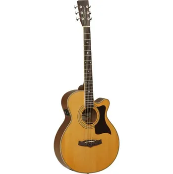 Kytara TW 145 ASC - elektroakustická kytara
