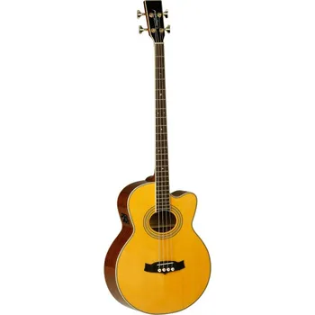 Kytara TW 55 A/BASS B - akustická basová kytara