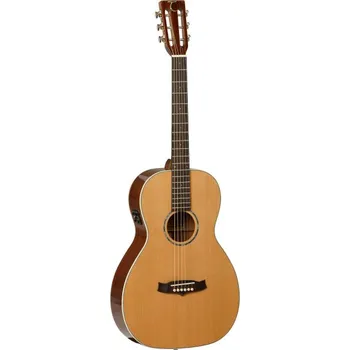 Kytara TW 73 B - elektroakustická kytara