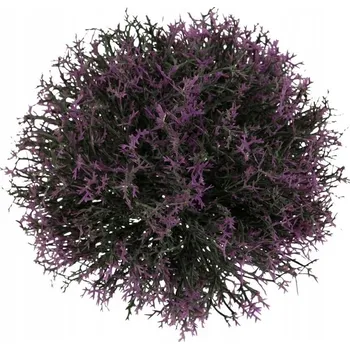 umělá květina Cypřiš koule - fialová. Květina umělá plastová BX-10181-17 - Barva-ar: Neur