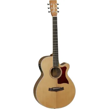 Akustická kytara Elektro-akustická kytara Tanglewood TW45 W OP E