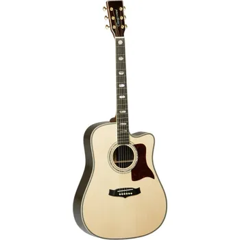 Kytara TW 1000 H SRC B - elektroakustická kytara