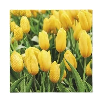 Papírový ubrousek Ubrousky Paw Krásné tulipány 33 cm 20 ks