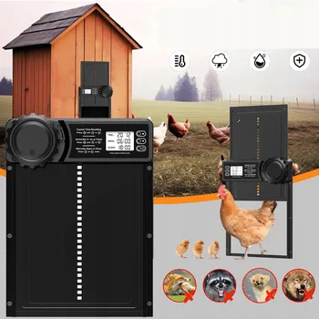 Automatická Dvířka Do Kurníku s časovačem stop nejlepší kvalita 2024