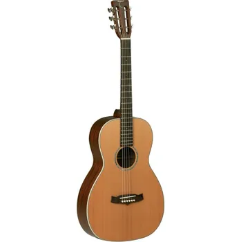 Kytara TW 73_1130674010 - akustická kytara