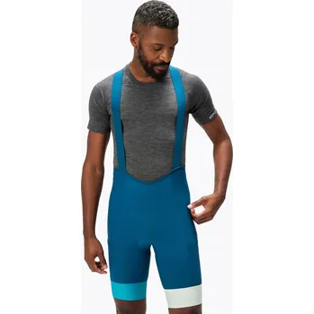 Pánské kraťasy Kraťasy cyklistické kraťasy Endura Loop Bibshort barra blue S