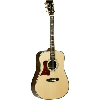 Kytara TW 1000 N LH - akustická kytara pro leváky