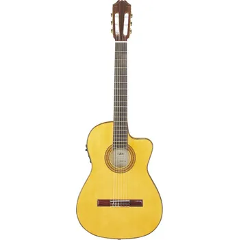 Klasická kytara AC-70FCE - klasická kytara