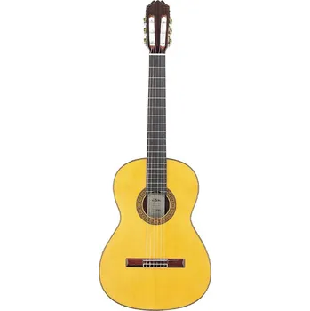 Kytara AC-200 - klasická kytara