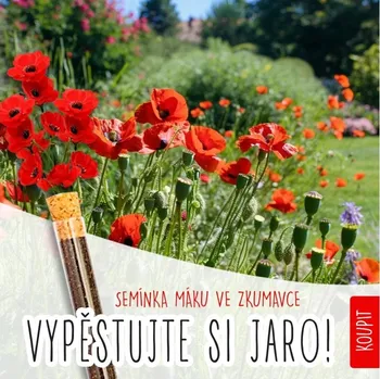 Travní směs Květinová zkumavka - mák polní