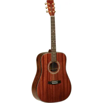 Kytara TW 15 ASM - akustická kytara