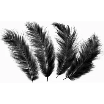 Party dekorace Dekorační peříčka černá dlouhá 50 ks