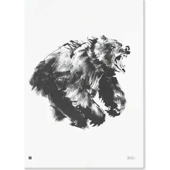 Plakát Teemu Järvi Plakát s motivem medvěda Roaring bear 50x70