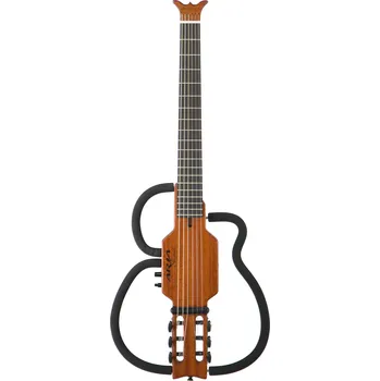 Elektrická kytara AS-101C/SPL