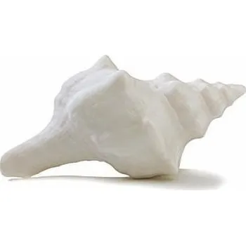 Mýdlo Vyrobce Mýdlo 50g mušle mix glycerin