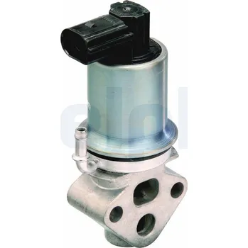 Ventil palivového systému AGR-Ventil DELPHI EG10290-12B1