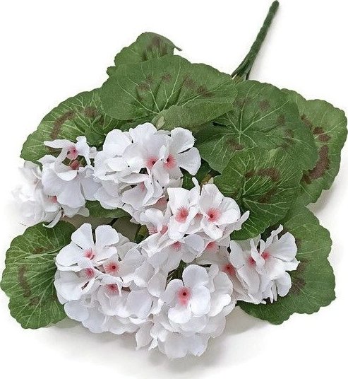 Muškát 38 cm, bílá