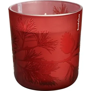 Svíčka Vyrobce Bolsius Vonná svíčka ve skle větvička červená