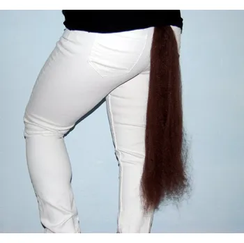 Karnevalový kostým Ocas na koně