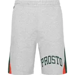 PROSTO Pánské kraťasy Skroozit L ŠEDÁ
