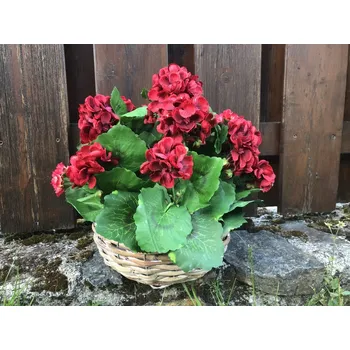 Smuteční dekorace Dekorace na hrob červené muškáty v proutěné misce