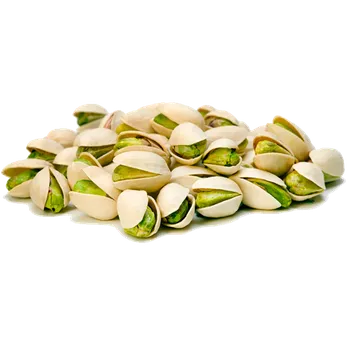Krmivo pro hlodavce Pistácie nepražené ve skořápce (natural) 500 g