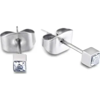 Náušnice VP 650-123-002 náušnice titan