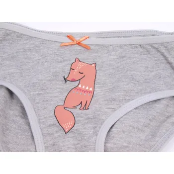 Dívčí spodní prádlo Dívčí kalhotky YO šedé s liškou velikost oblečení - děti: 98/104