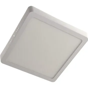 LED Stropní svítidlo GERRY LED/18W/230V 4000K bílá